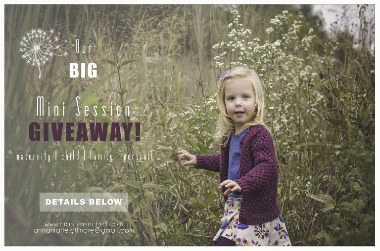 MiniSession-Giveaway2015