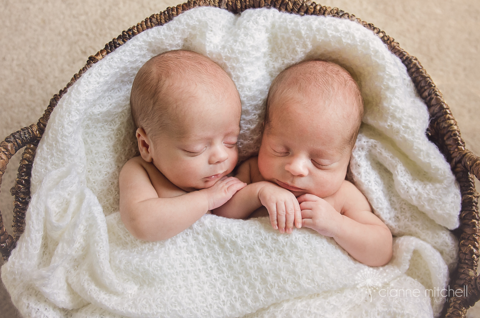 Twice the Love | Chicago Twin Newborn Baby Photographer » Cianne ...